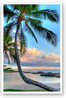 soothe your senses